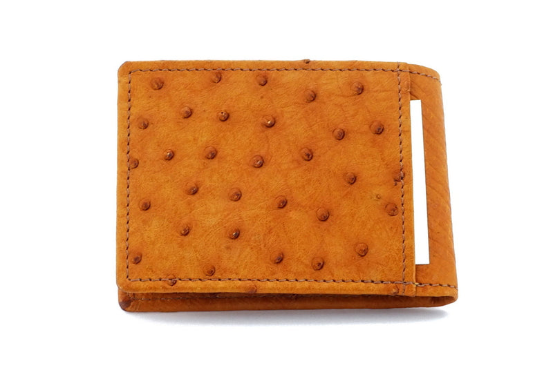 Wallet - small bi-fold - (Tristan)  Saddle tan Ostrich - picture flap showing baclk pocket in use