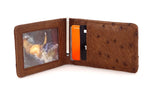 Billfold - Daryle - Brown ostrich leather, ostrich lining man's small wallet showing inside with credit cards and picture in picture window