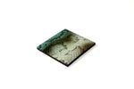 Coaster - Square leather snake printed leather