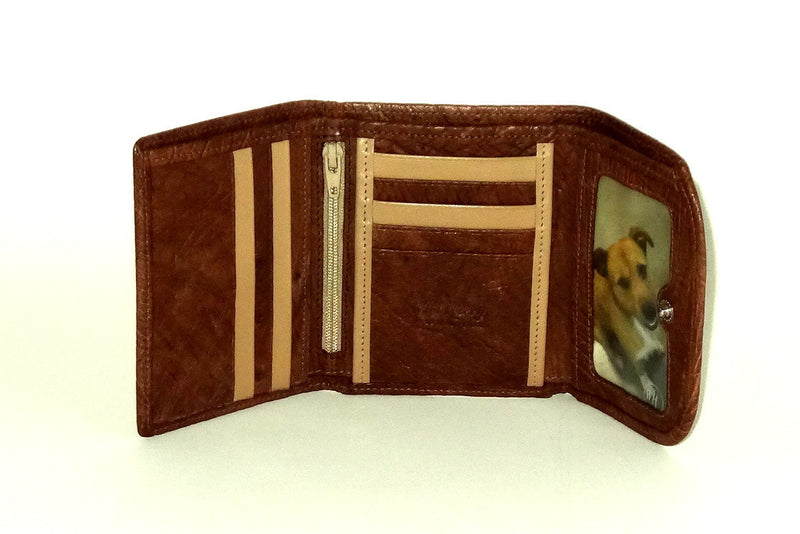 Dorothy  Trifold purse - Brown ostrich skin leather ladies wallet inside picture window