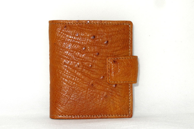 Daniel  Tan ostrich with denim fabric internal small men's wallet front view