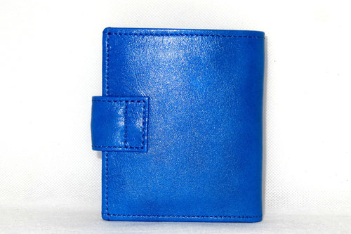 Daniel  Blue smooth leather small men's wallet back view