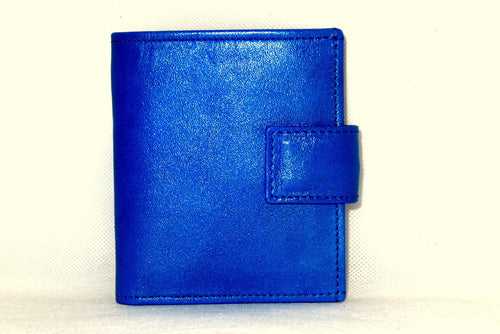 Daniel  Blue smooth leather small men's wallet front view